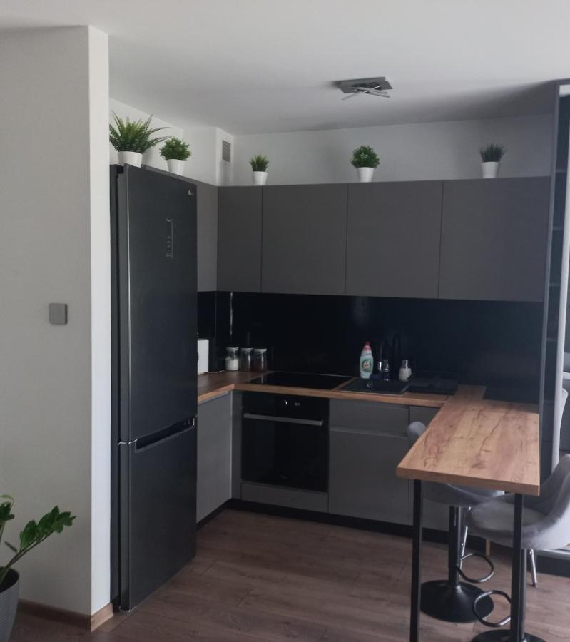 Apartament Plater Apartment Pruszcz Gdanski Bagian luar foto
