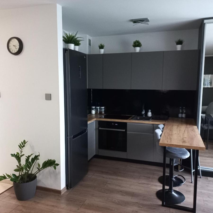 Apartament Plater Apartment Pruszcz Gdanski Bagian luar foto